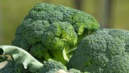 O brócolis carrega minerais, vitaminas, fibras e 45% de proteínas. - jacqueline macou/Pixabay