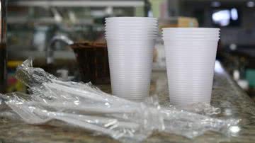 Esses talheres e demais objetos utilizados nas refeições devem ser feitos de materiais biodegradáveis - Rovena Rosa/Agência Brasil