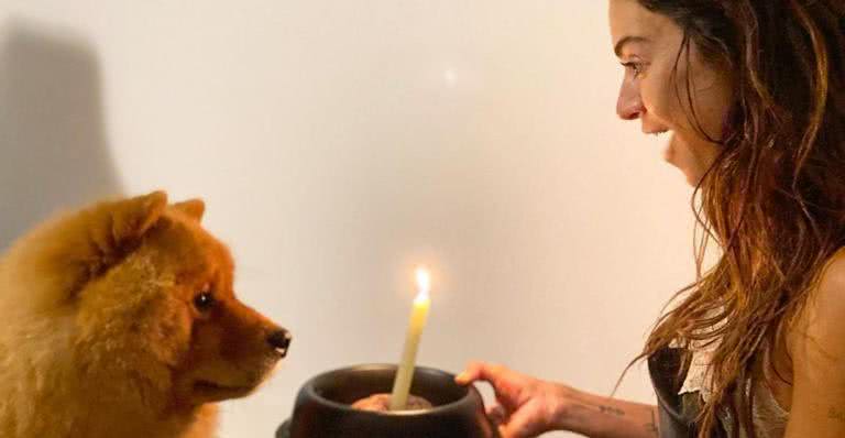 Thaila Ayala comemorando aniversário do cãozinho, Martin Scorsese - Instagram/@renatogoess