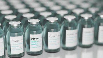 Imunizantes os imunizantes devem ser distribuídos assim que a Anvisa validar o uso emergencial - Pixabay