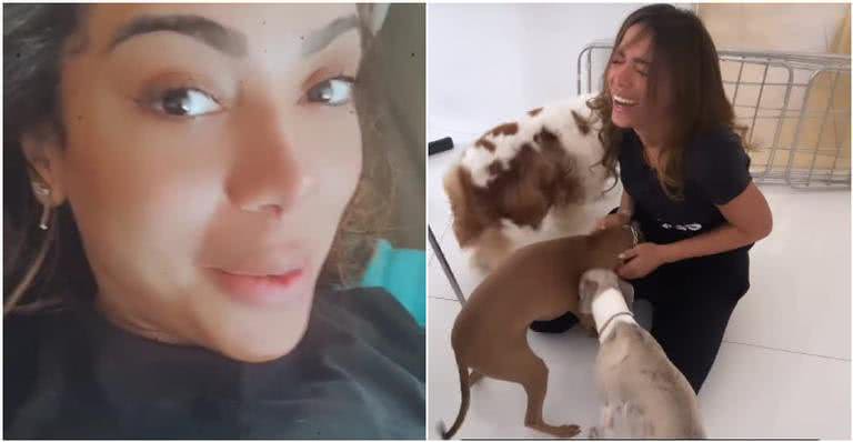 Anitta foi recebida com muito carinho por seus cachorros; a cantora também atualizou os fãs sobre seu estado de saúde - Instagram/@anitta