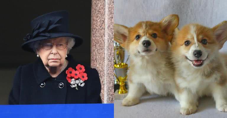 Rainha Elizabeth adquire cachorrinhos para aliviar dor do luto - Instagram/@theroyalfamily e Reprodução/Pixabay