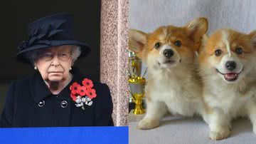 Rainha Elizabeth adquire cachorrinhos para aliviar dor do luto - Instagram/@theroyalfamily e Reprodução/Pixabay