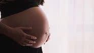 Nidação é uma etapa importante para a gravidez - Unsplash