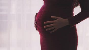 Segundo o governo paulista, a expectativa é vacinar cerca de 100 mil grávidas ou puérperas com comorbidades do estado - Pixabay