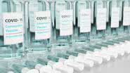 Pfizer entrega mais 629 mil doses da vacina contra a covid-19 - Pixabay