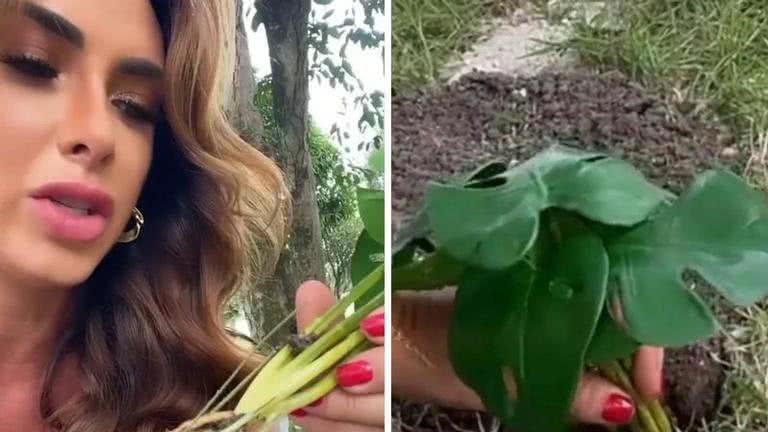 Nicole Bahls diverte a web ao revelar que plantou muda de plástico no jardim - Divulgação/Instagram/@nicolebahls