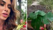 Nicole Bahls diverte a web ao revelar que plantou muda de plástico no jardim - Divulgação/Instagram/@nicolebahls