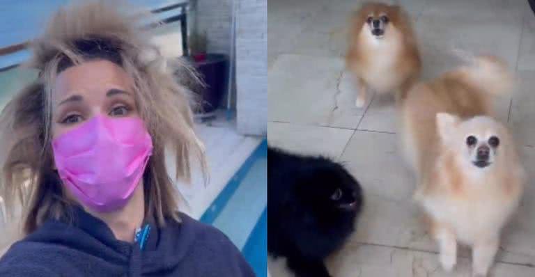 Ana Furtado surge descabelada e cachorrinhos se assustam - Instagram/@aanafurtado