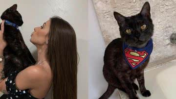 Maria Lina e seu gatinho de estimação - Instagram/@marialdgg