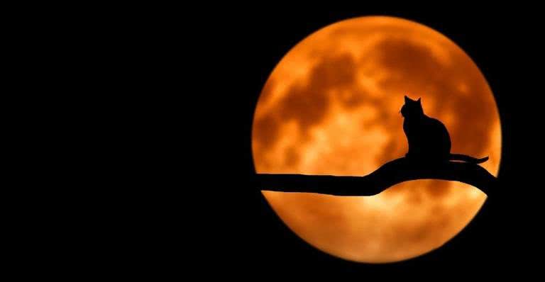 Saiba o que é superstição e verdade sobre a lua cheia - Pixabay/Bessi