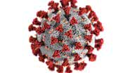 Vírus continua evoluindo. - CDC/Unsplash