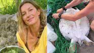 Gisele Bündchen salva tartaruga marinha - Instagram/@gisele