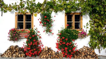 Imagem meramente ilustrativa de uma casa com flores - Divulgação / Manfred Antranias Zimmer por Pixabay