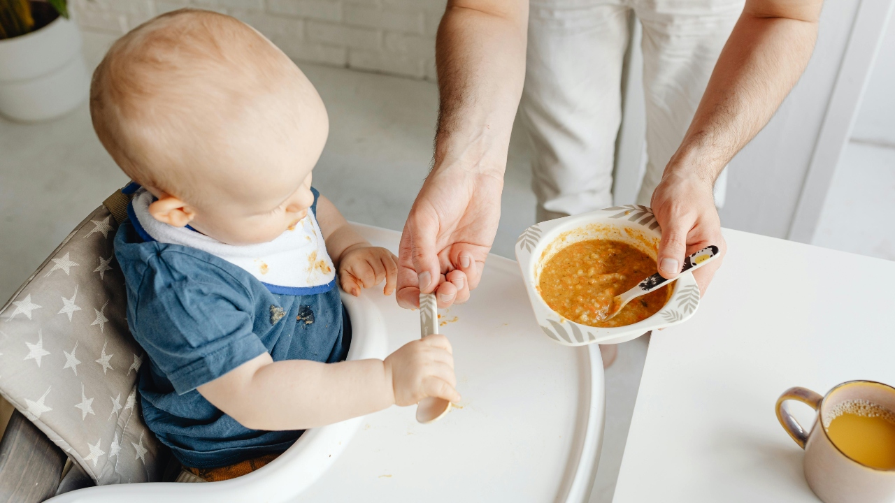 introdução alimentar dieta dos bebês