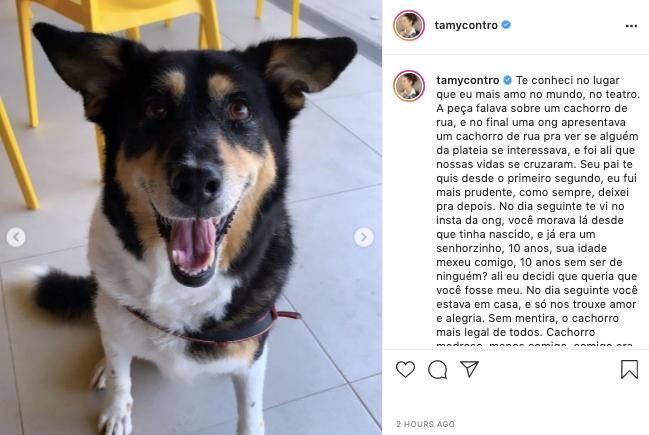 Tamy Contro, esposa de Projota, lamenta morte de cachorrinho de estimação